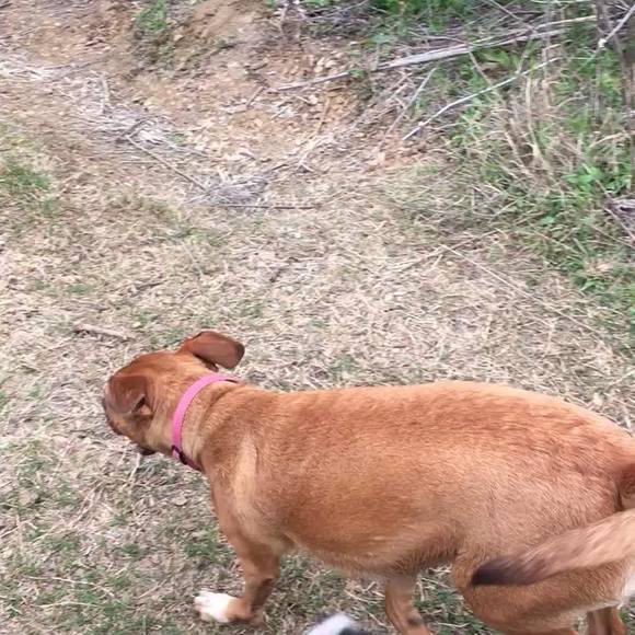 Meet your Posher, Laura - Picture 1 of 1